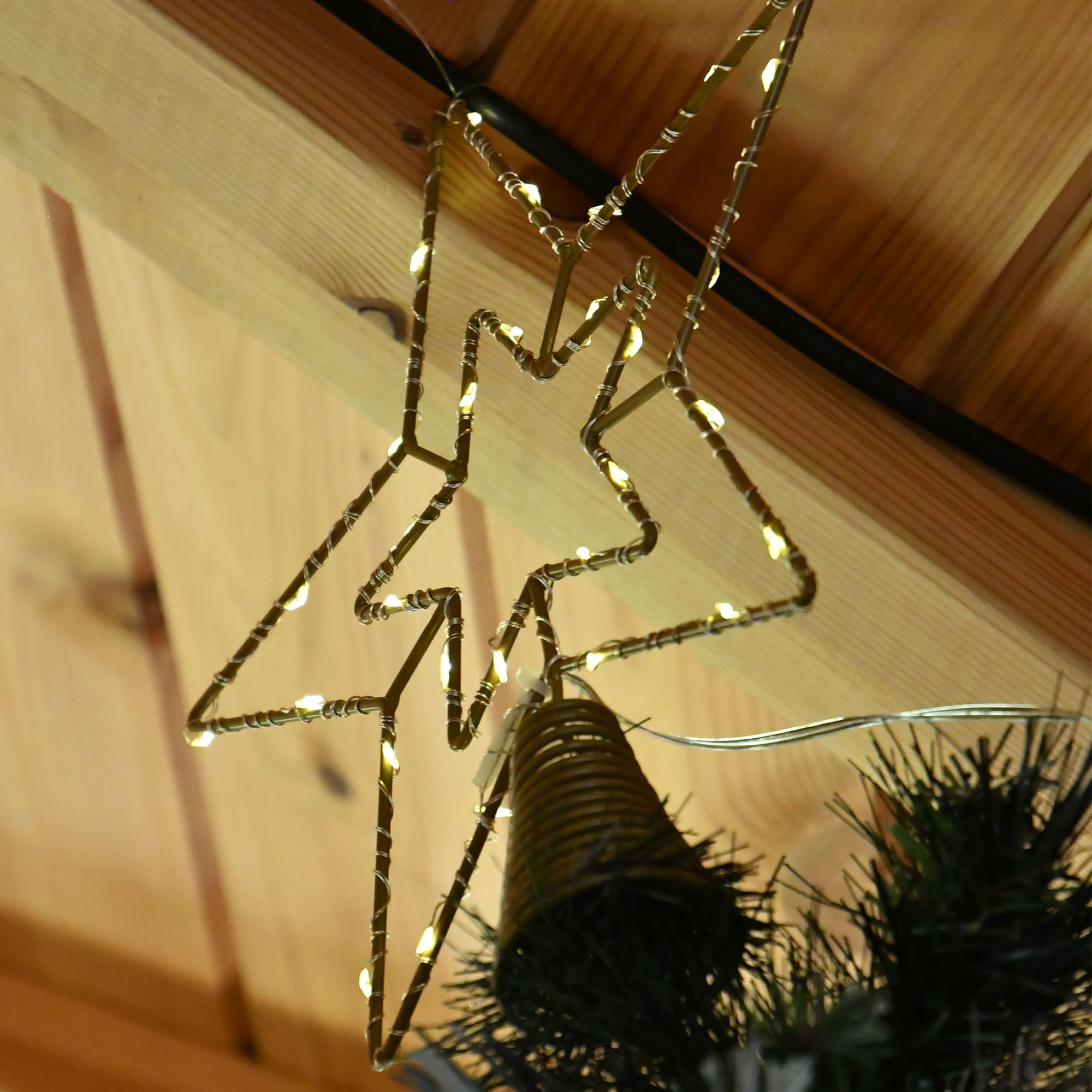 Cimier étoile dorée